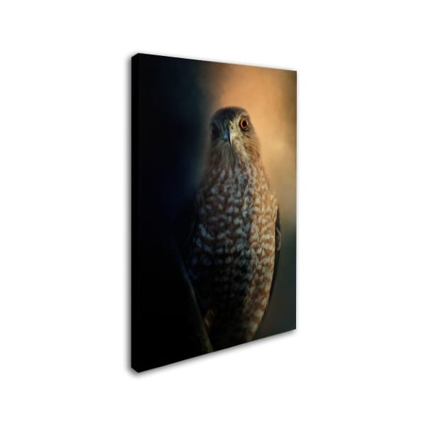 Jai Johnson 'Coopers Hawk At Sunset' Canvas Art,30x47